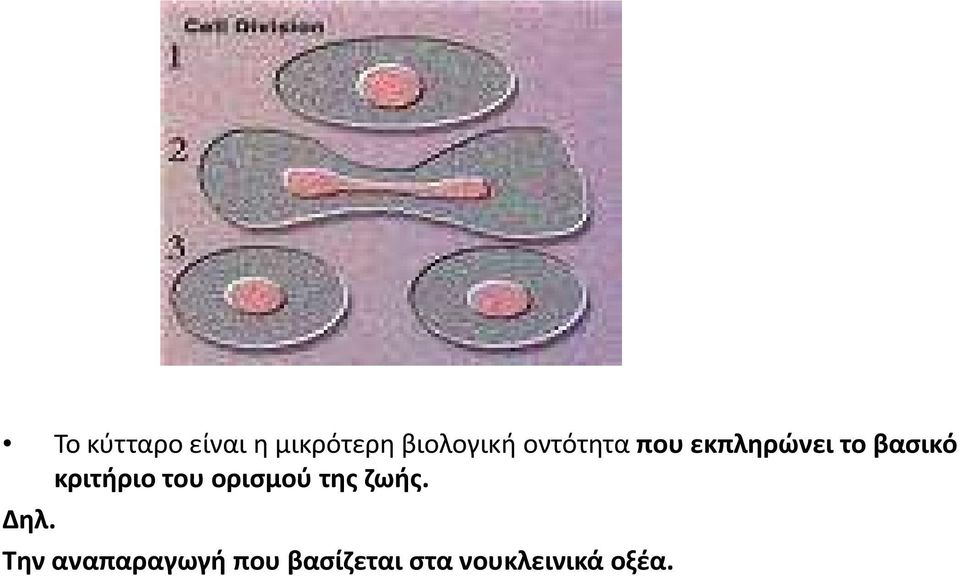 κριτήριο του ορισμού της ζωής. Δηλ.