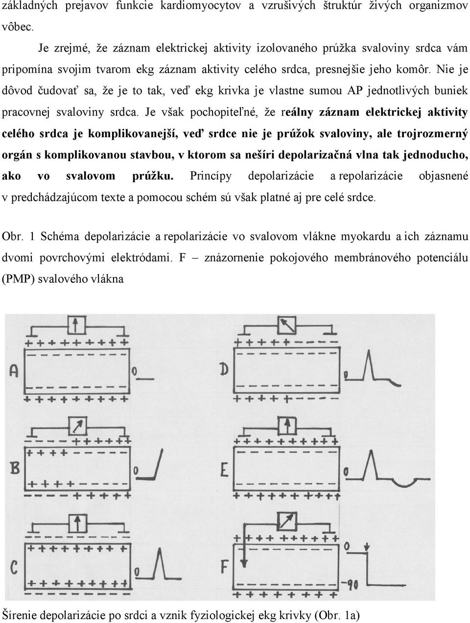 Nie je dôvod čudovať sa, že je to tak, veď ekg krivka je vlastne sumou AP jednotlivých buniek pracovnej svaloviny srdca.