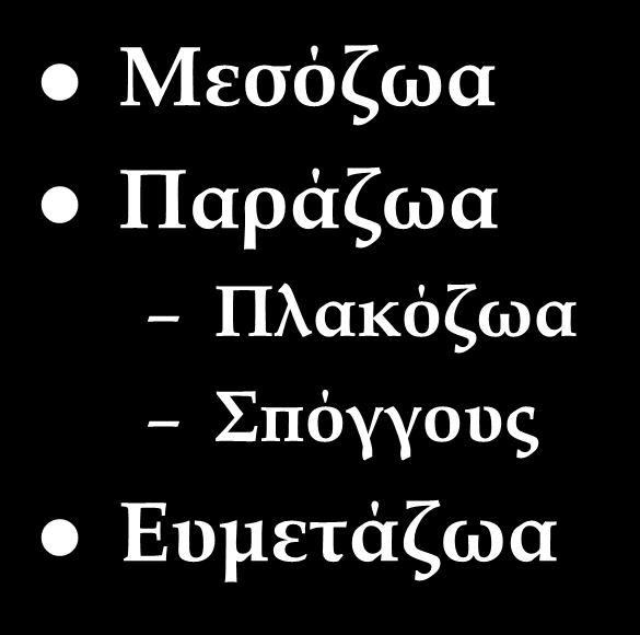 Διάκριση πολυκύτταρων οργανισμών