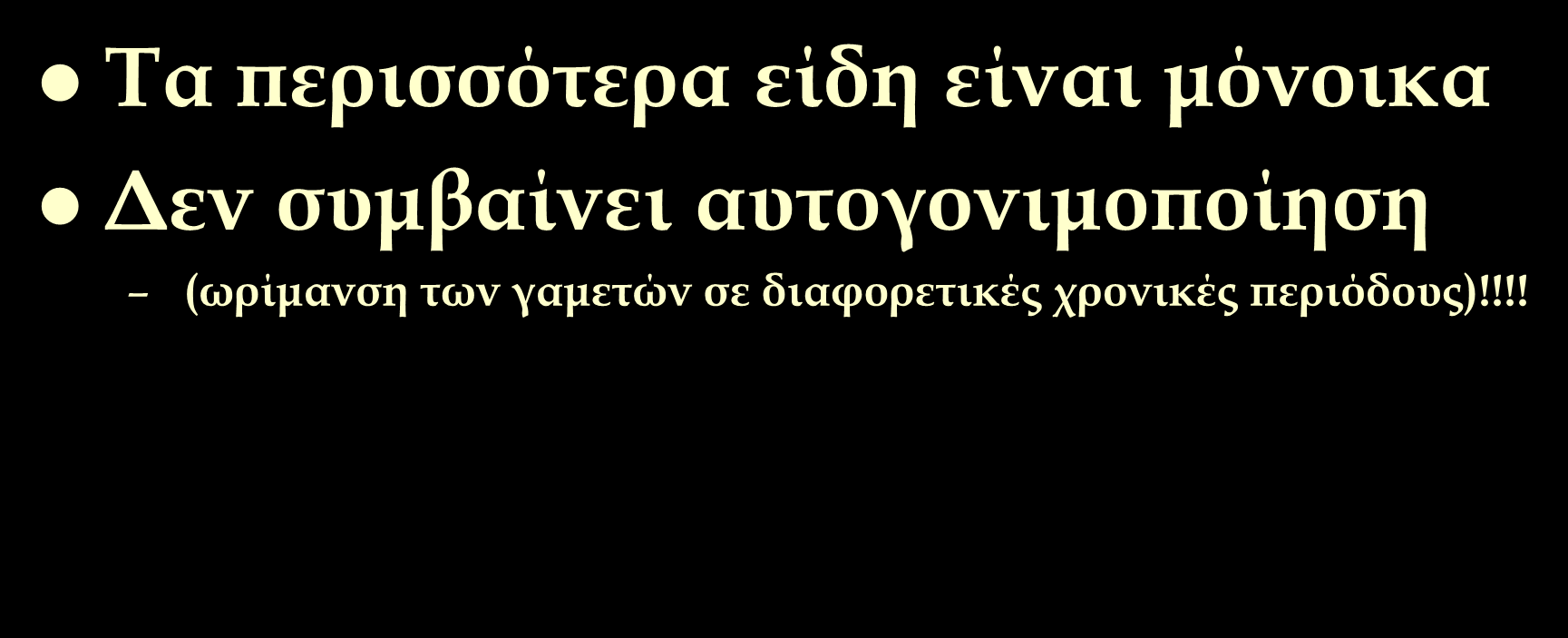 Αναπαραγωγή των σπόγγων Σα περισσότερα είδη είναι μόνοικα Δεν συμβαίνει αυτογονιμοποίηση (ωρίμανση των