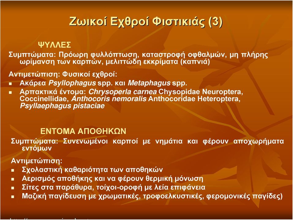 Αρπακτικά έντομα: Chrysoperla carnea Chysopidae Neuroptera, Coccinellidae, Anthocoris nemoralis Anthocoridae Heteroptera, Psyllaephagus pistaciae ΕΝΤΟΜΑ ΑΠΟΘΗΚΩΝ