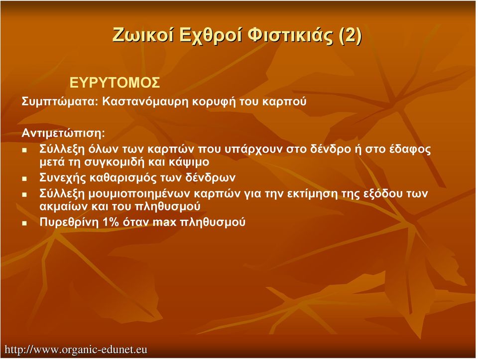 και κάψιμο Συνεχής καθαρισμός των δένδρων Σύλλεξη μουμιοποιημένων καρπών για την