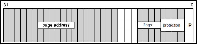 Τα επόμενα 4 bits καθορίζουν την προστασία της σελίδας και περιέχουν τα δικαιώματα της διεργασίας πάνω στη σελίδα. Τα δικαιώματα μπορεί να είναι Read, Write, ReadWrite, No Access, Cached.