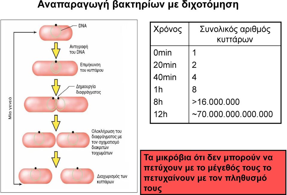 000.000 ~70.000.000.000.000 Τα μικρόβια ότι δεν μπορούν