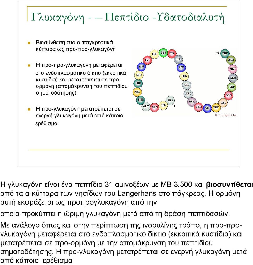 500 και βιοσυντίθεται από τα α-κύτταρα των νησίδων του Langerhans στο πάγκρεας. Η ορμόνη αυτή εκφράζεται ως προπρογλυκαγόνη από την οποία προκύπτει η ώριμη γλυκαγόνη μετά από τη δράση πεπτιδασών.