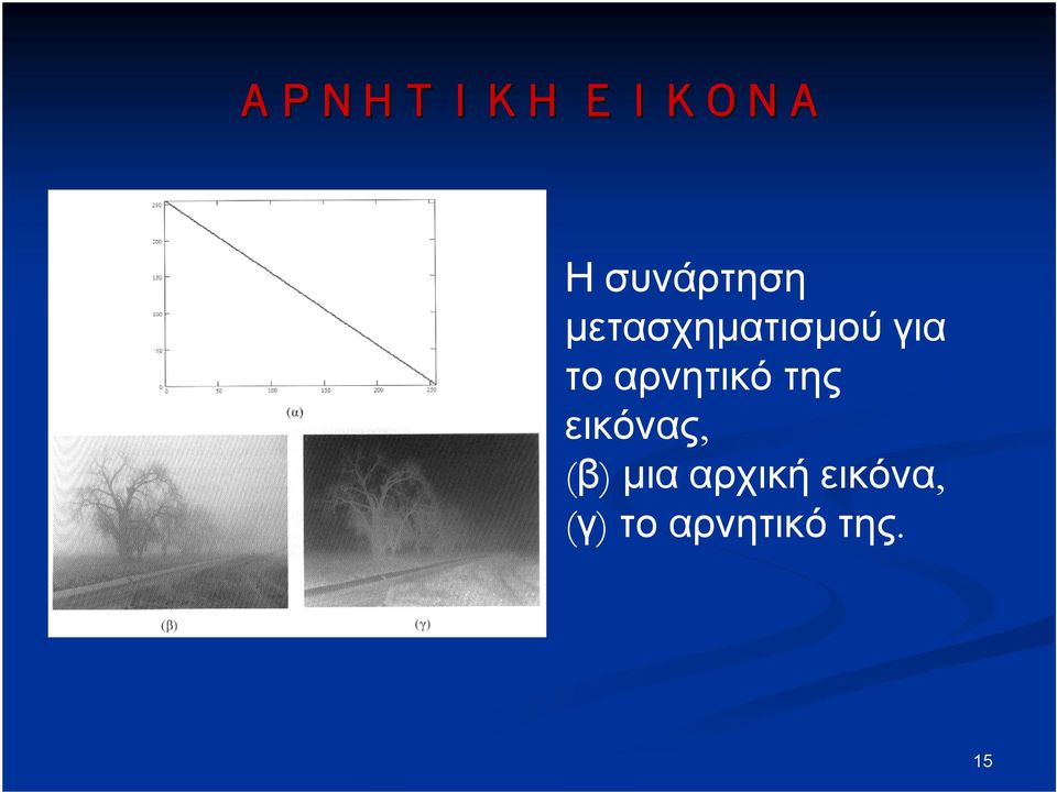 αρνητικό της εικόνας, (β) μια