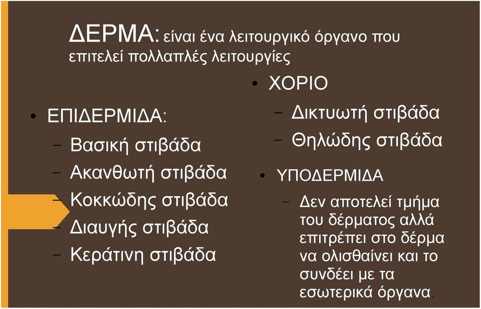 Κεράτινη στιβάδα Δικτυωτή στιβάδα Θηλώδης στιβάδα ΥΠΟΔΕΡΜΙΔΑ Δεν αποτελεί τμήμα