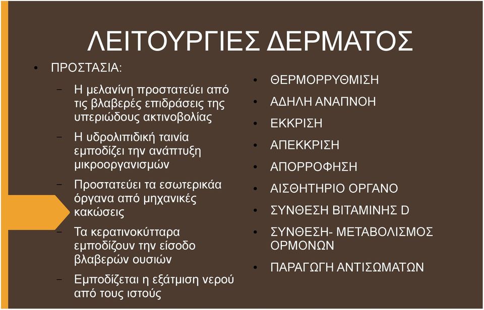 κερατινοκύτταρα εμποδίζουν την είσοδο βλαβερών ουσιών Εμποδίζεται η εξάτμιση νερού από τους ιστούς ΘΕΡΜΟΡΡΥΘΜΙΣΗ ΑΔΗΛΗ