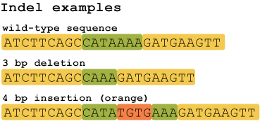 Πολυμορφισμοί (>1 νουκλεοτιδιο) Indels insertionsdeletions(κάθε ποικιλομορφία DNA που αφορά ένθεση ή