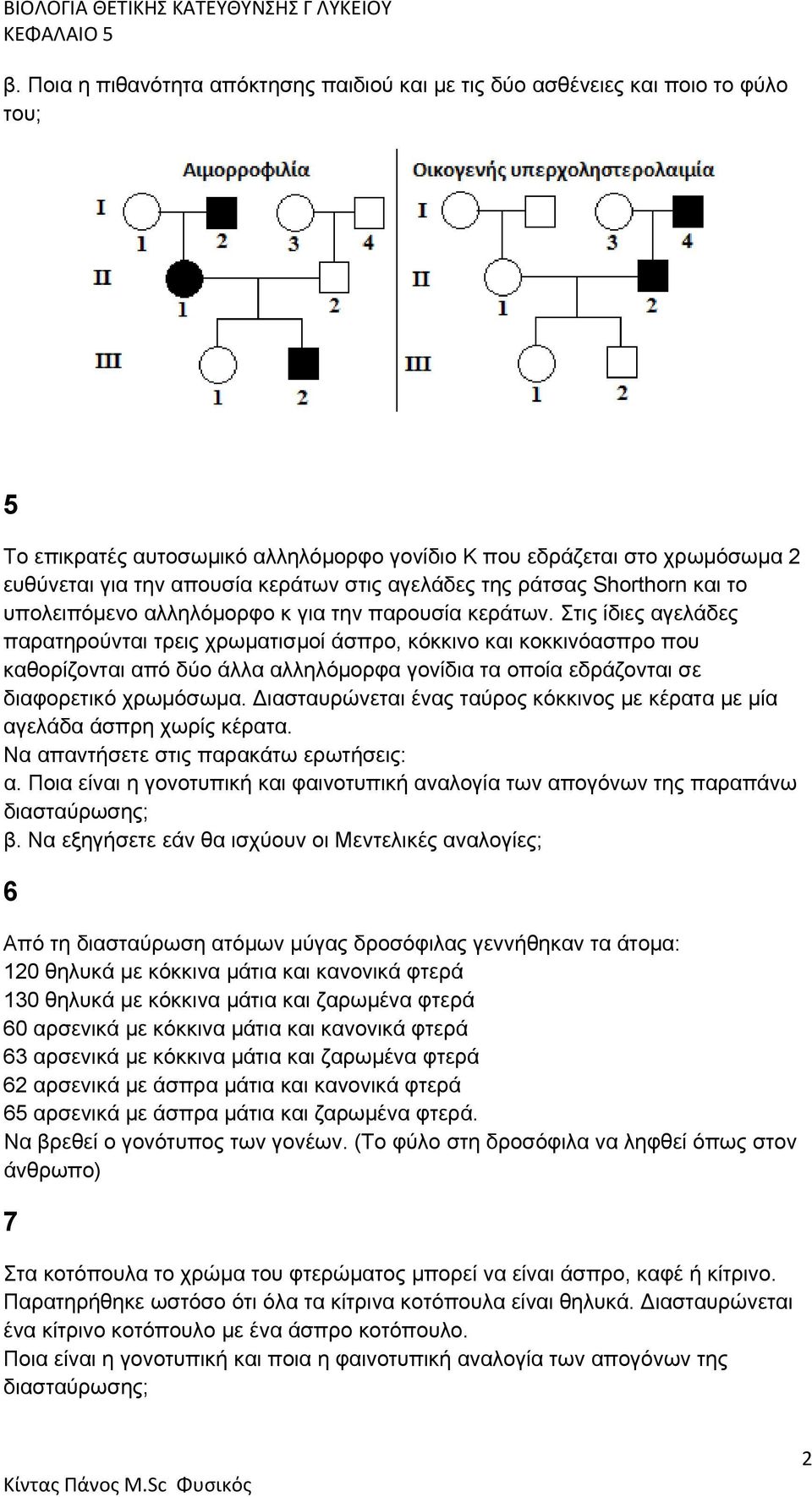 Στις ίδιες αγελάδες παρατηρούνται τρεις χρωματισμοί άσπρο, κόκκινο και κοκκινόασπρο που καθορίζονται από δύο άλλα αλληλόμορφα γονίδια τα οποία εδράζονται σε διαφορετικό χρωμόσωμα.