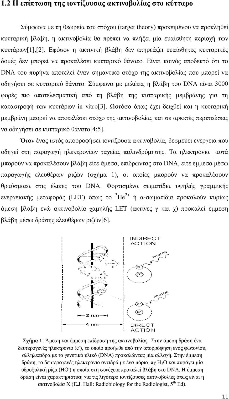 Είναι κοινός αποδεκτό ότι το DNA του πυρήνα αποτελεί έναν σημαντικό στόχο της ακτινοβολίας που μπορεί να οδηγήσει σε κυτταρικό θάνατο.