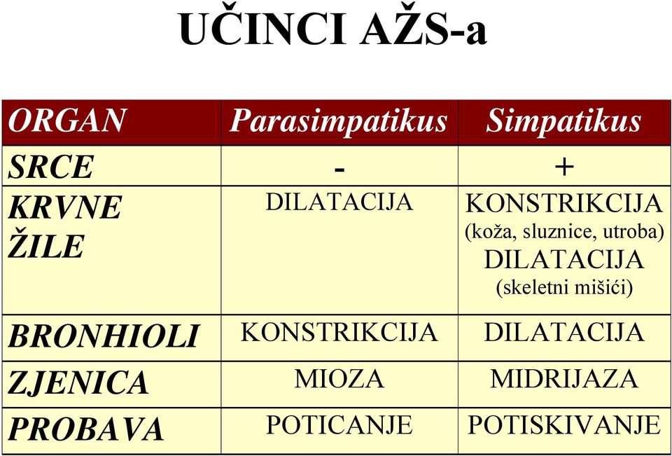 utroba) DILATACIJA (skeletni mišići) BRONHIOLI