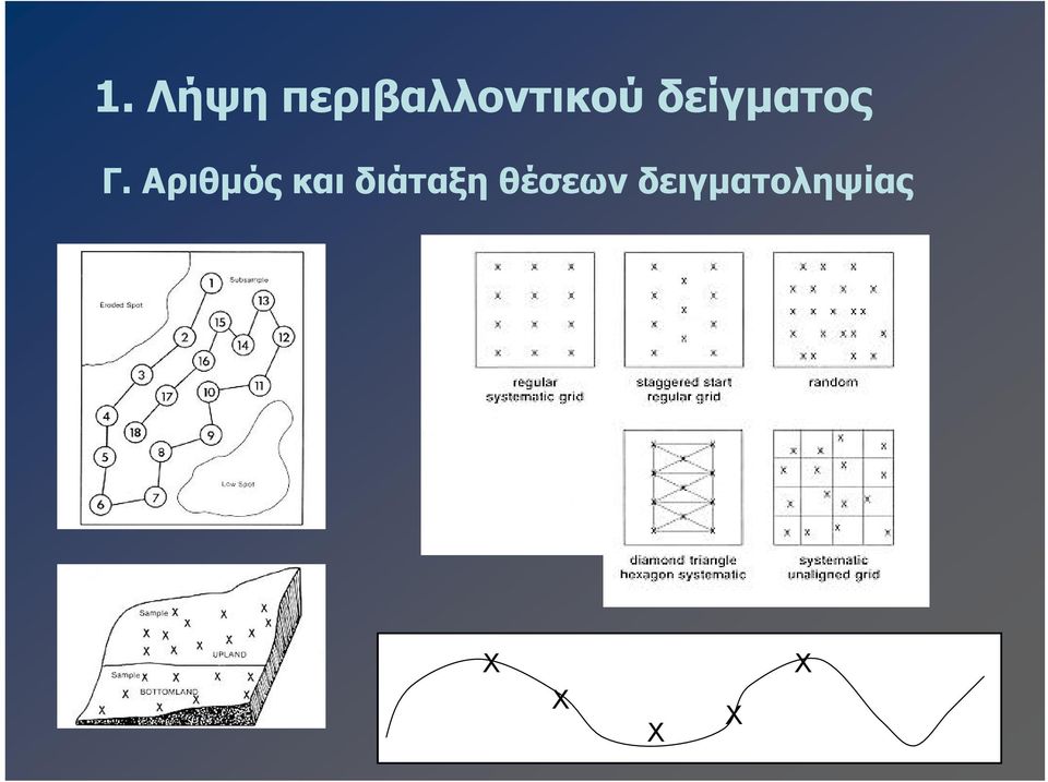 δείγματος Γ.