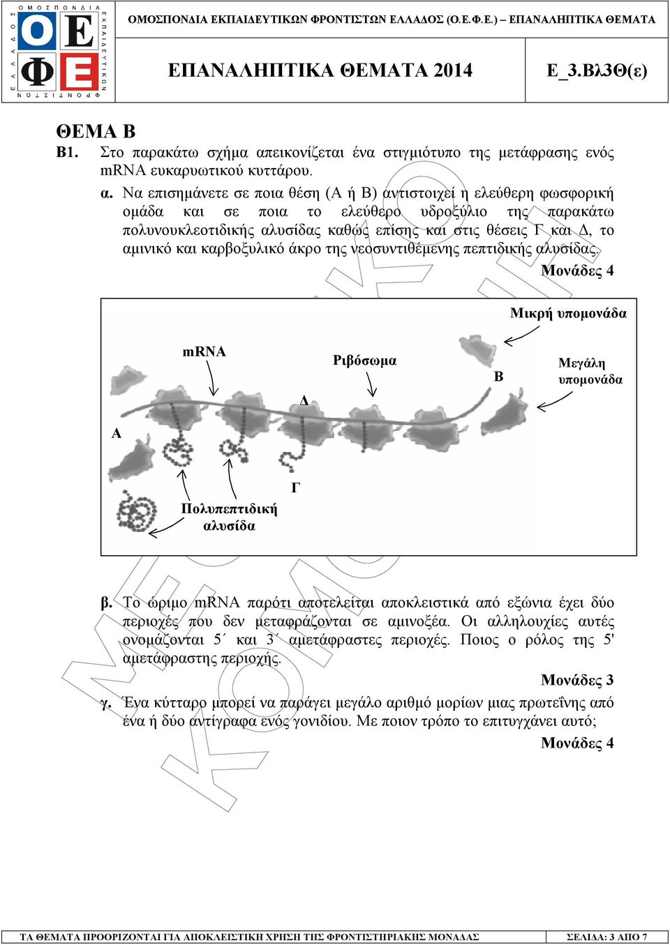 Να επισηµάνετε σε ποια θέση (Α ή Β) αντιστοιχεί η ελεύθερη φωσφορική οµάδα και σε ποια το ελεύθερο υδροξύλιο της παρακάτω πολυνουκλεοτιδικής αλυσίδας καθώς επίσης και στις θέσεις Γ και, το αµινικό