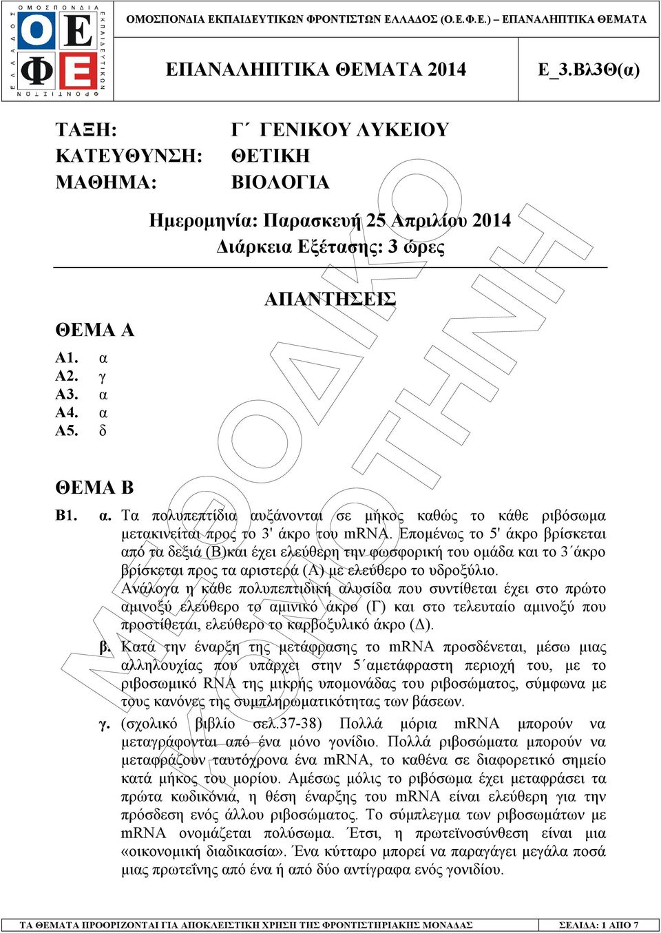 Ανάλογα η κάθε πολυπεπτιδική αλυσίδα που συντίθεται έχει στο πρώτο αµινοξύ ελεύθερο το αµινικό άκρο (Γ) και στο τελευταίο αµινοξύ που προστίθεται, ελεύθερο το καρβοξυλικό άκρο ( ). β.