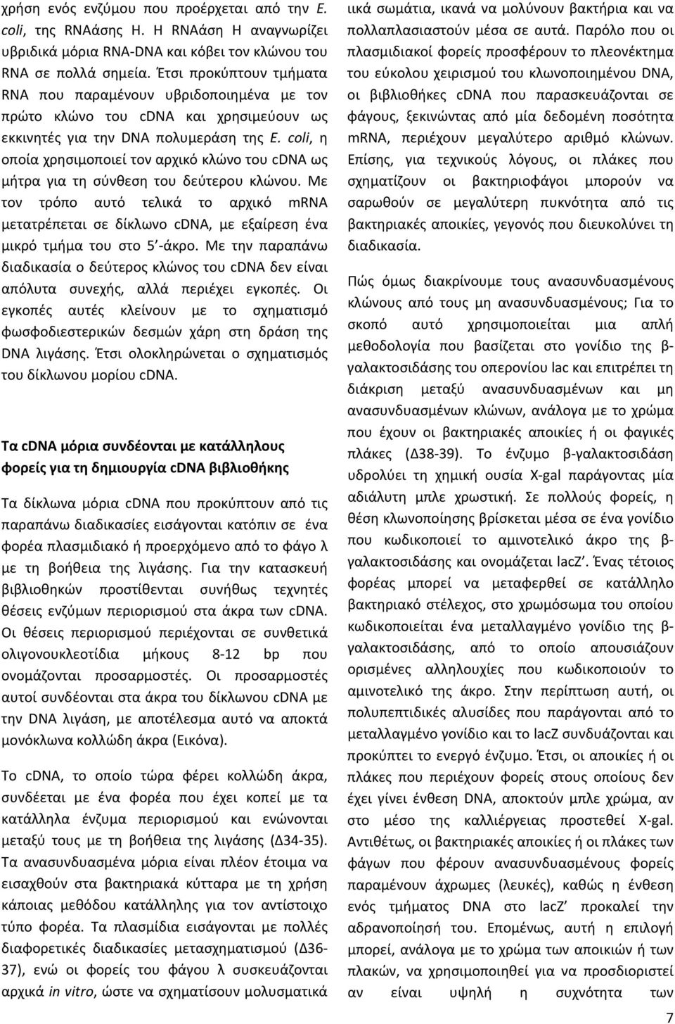 coli, η οποία χρησιμοποιεί τον αρχικό κλώνο του cdna ως μήτρα για τη σύνθεση του δεύτερου κλώνου.