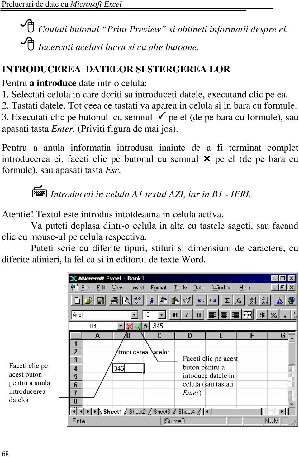 Executati clic pe butonul cu semnul pe el (de pe bara cu formule), sau apasati tasta Enter. (Priviti figura de mai jos).