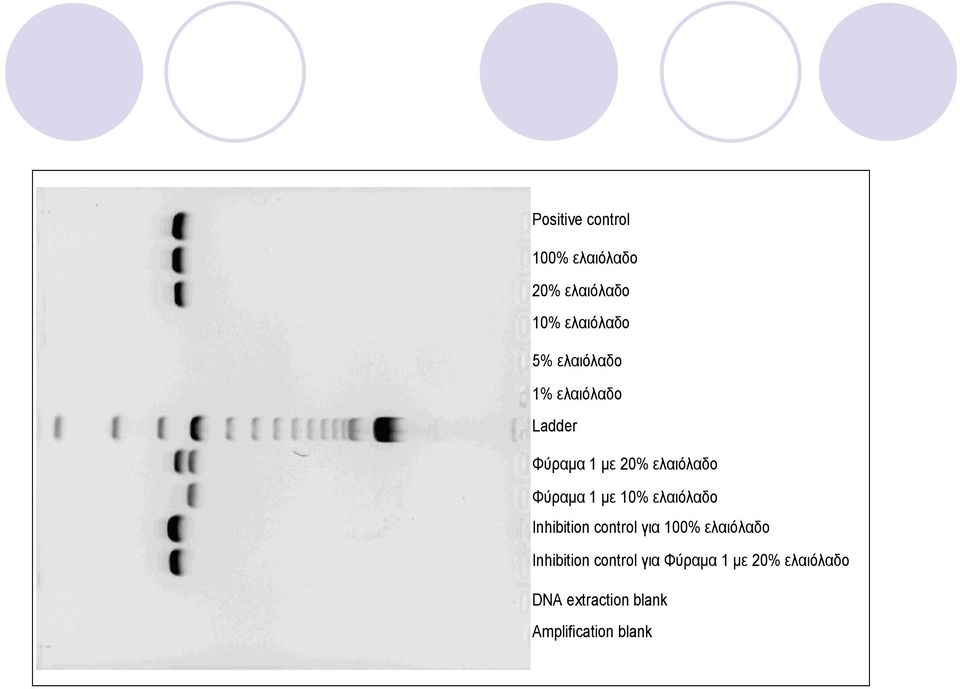 10% ελαιόλαδο Inhibition control για 100% ελαιόλαδο Inhibition