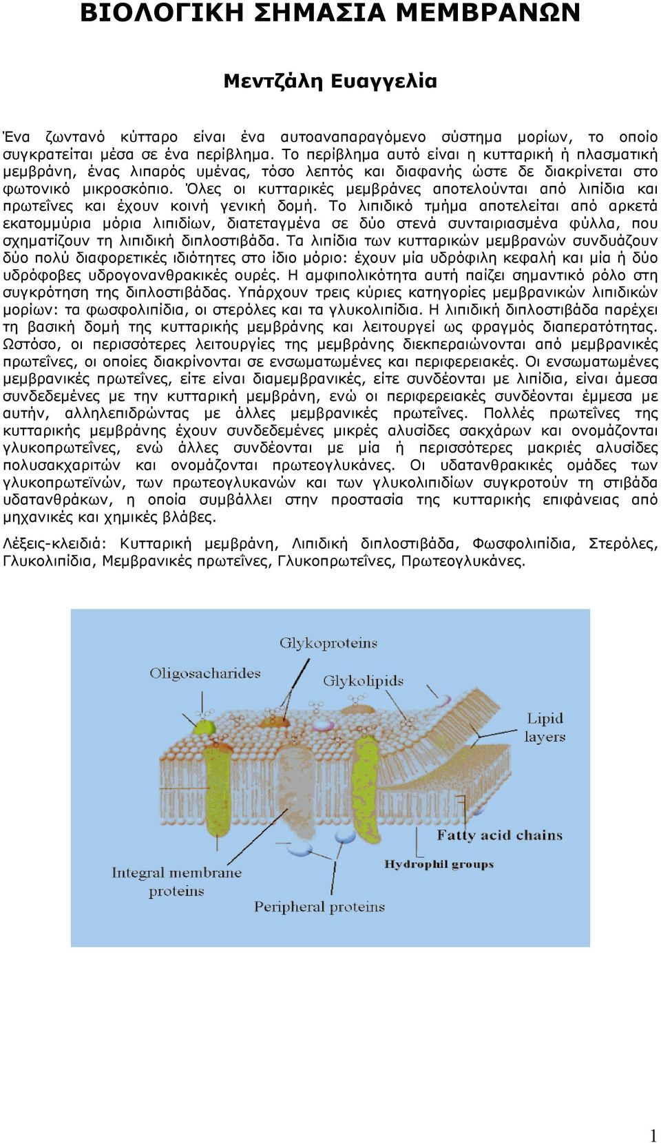 Όλες οι κυτταρικές µεµβράνες αποτελούνται από λιπίδια και πρωτεΐνες και έχουν κοινή γενική δοµή.