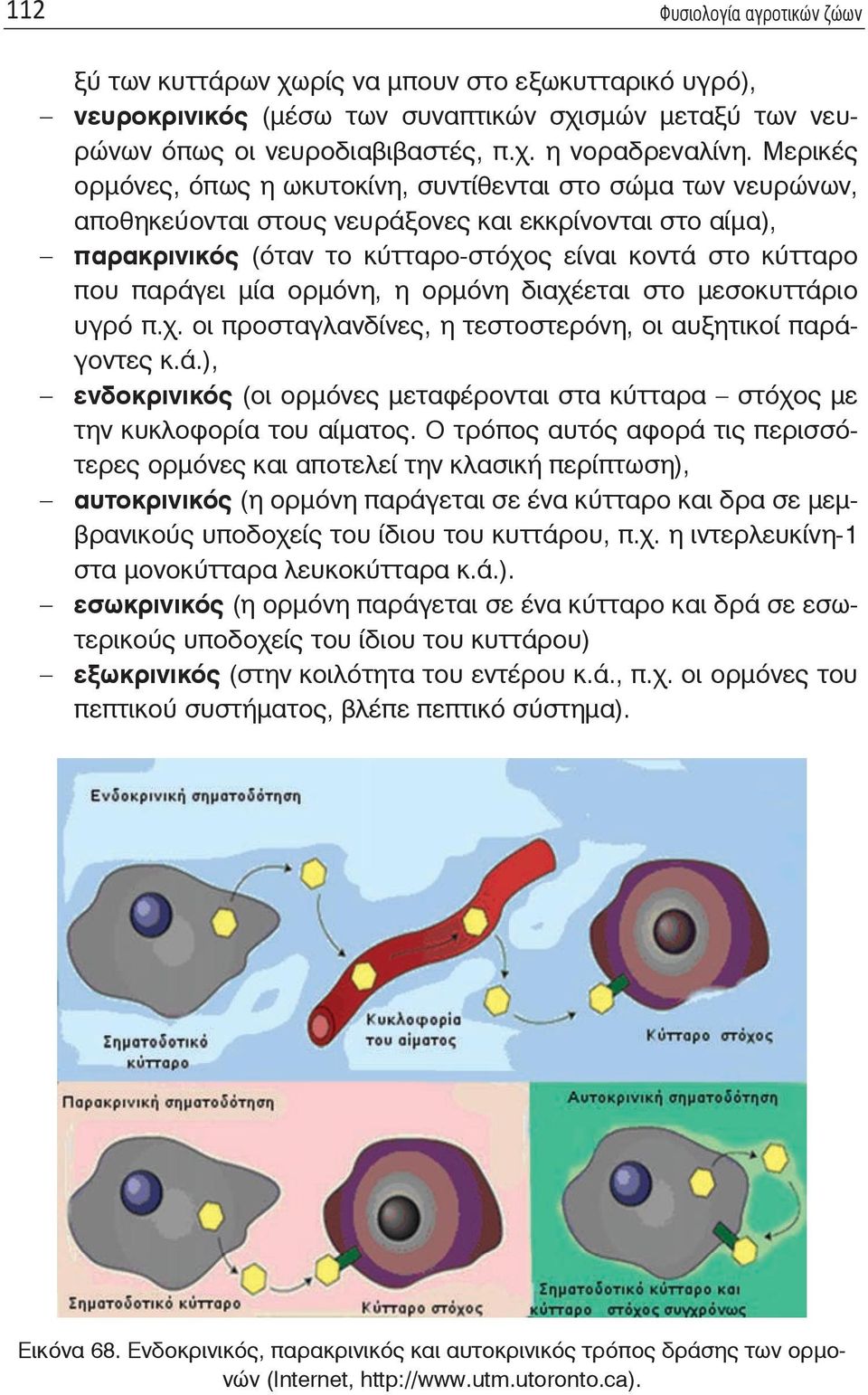 παράγει μία ορμόνη, η ορμόνη διαχέεται στο μεσοκυττάριο υγρό π.χ. οι προσταγλανδίνες, η τεστοστερόνη, οι αυξητικοί παράγοντες κ.ά.), ενδοκρινικός (οι ορμόνες μεταφέρονται στα κύτταρα στόχος με την κυκλοφορία του αίματος.