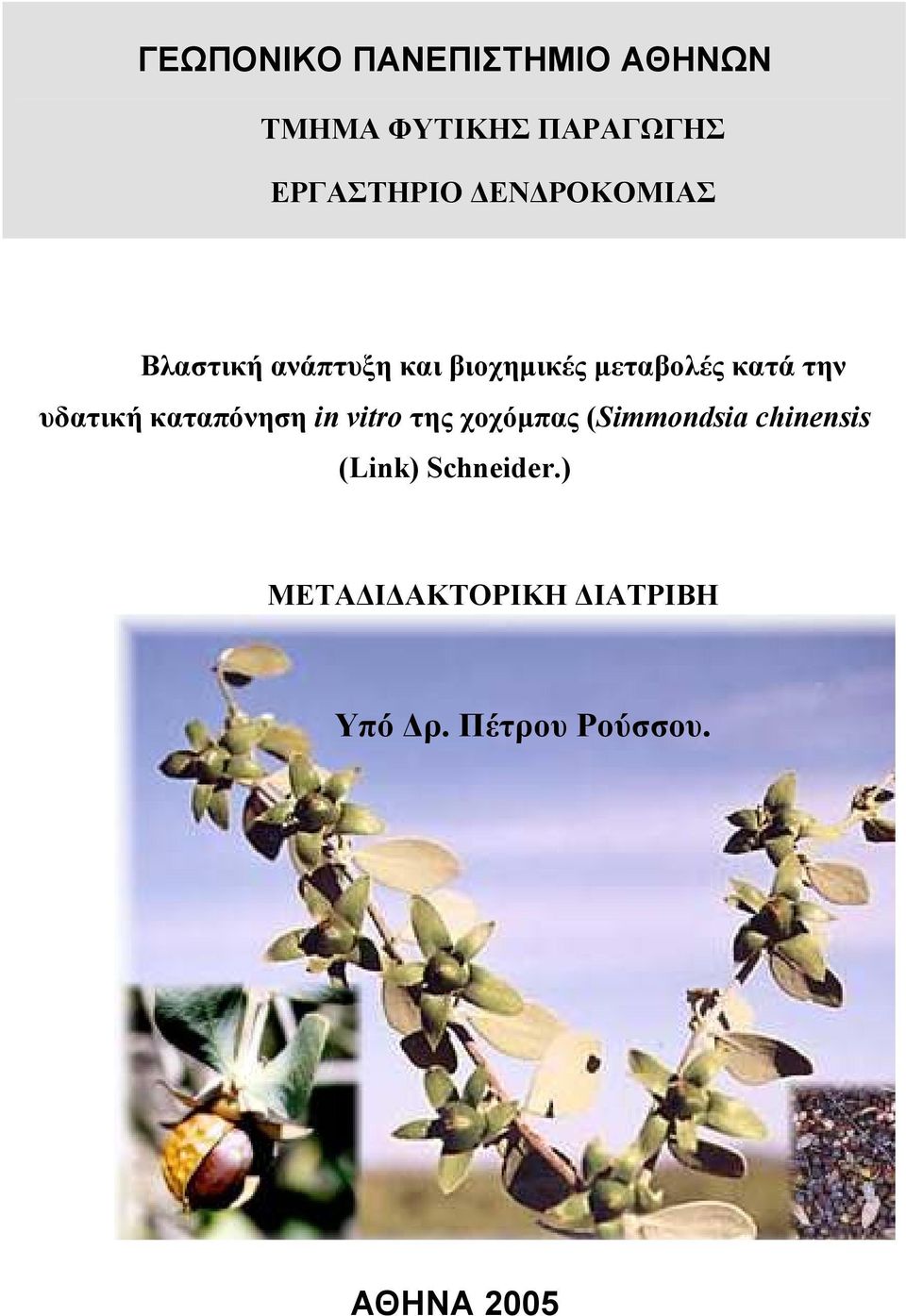 υδατική καταπόνηση in vitro της χοχόµπας (Simmondsia chinensis