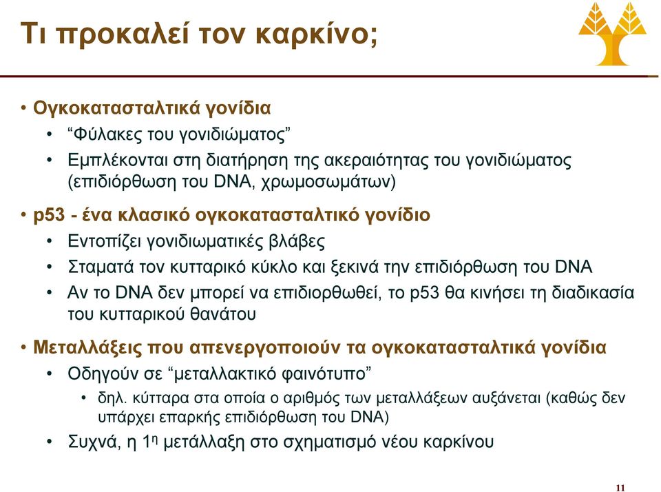 δεν μπορεί να επιδιορθωθεί, το p53 θα κινήσει τη διαδικασία του κυτταρικού θανάτου Μεταλλάξεις που απενεργοποιούν τα oγκοκατασταλτικά γονίδια Οδηγούν σε