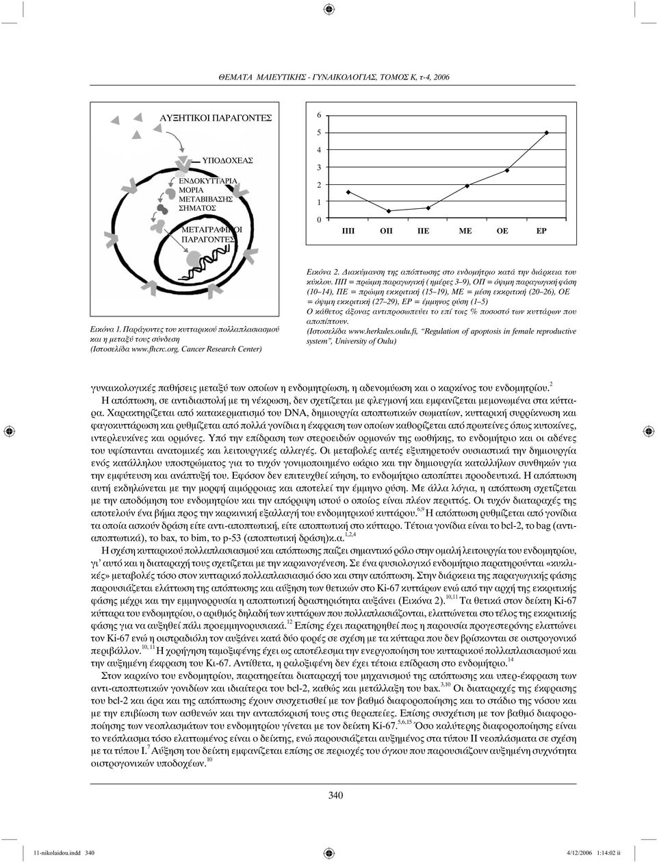 ΠΠ = πρώιμη παραγωγική ( ημέρες 3 9), ΟΠ = όψιμη παραγωγική φάση (10 14), ΠΕ = πρώιμη εκκριτική (15 19), ΜΕ = μέση εκκριτική (20 26), ΟΕ = όψιμη εκκριτική (27 29), ΕΡ = έμμηνος ρύση (1 5) Ο κάθετος