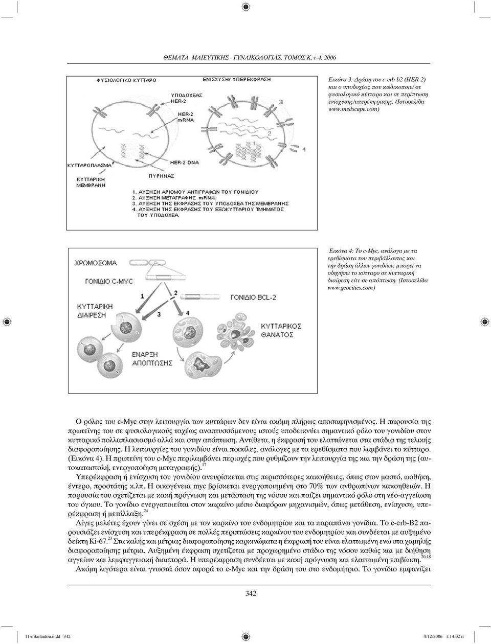 com) Ο ρόλος του c-myc στην λειτουργία των κυττάρων δεν είναι ακόμη πλήρως αποσαφηνισμένος.