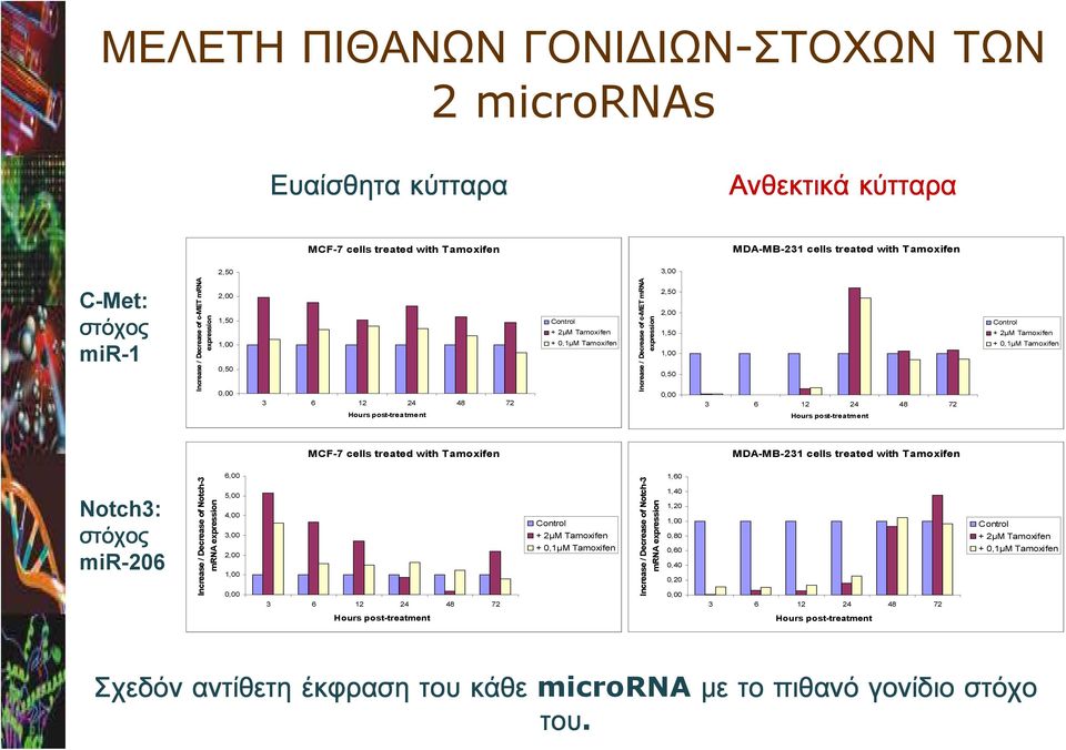 24 48 72 Hours post-treatment Control + 2µΜ Tamoxifen + 0,1µΜ Tamoxifen MCF-7 cells treated with Tamoxifen MDA-MB-231 cells treated with Tamoxifen Notch3: στόχος mir-206 Increase / Decrease of