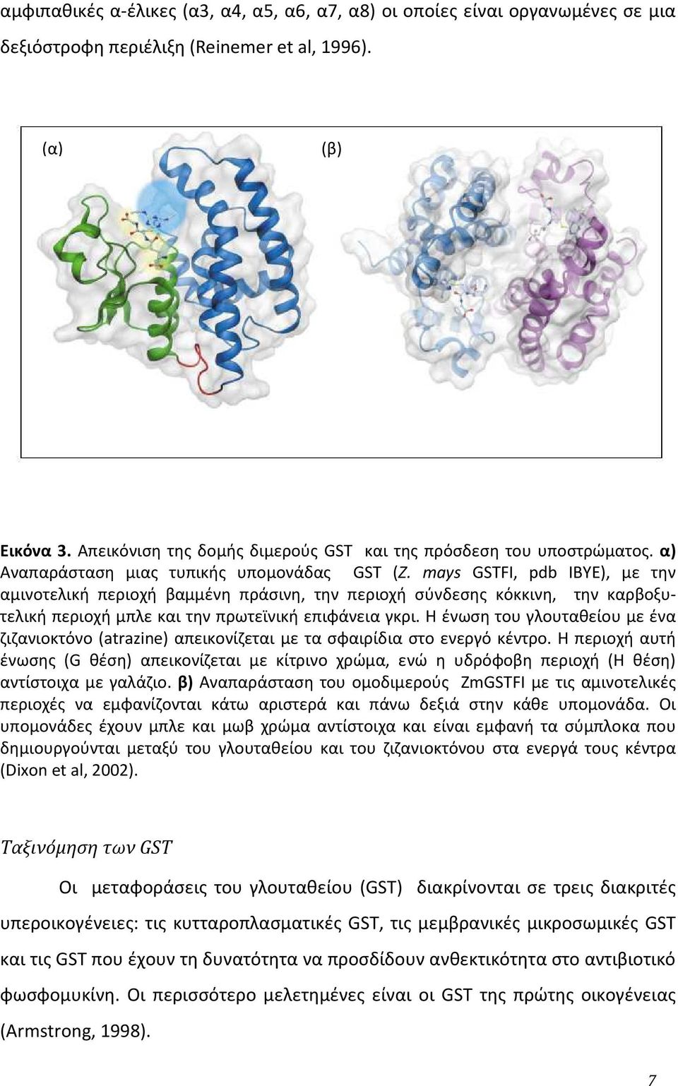 mays GSTFI, pdb IBYE), με την αμινοτελική περιοχή βαμμένη πράσινη, την περιοχή σύνδεσης κόκκινη, την καρβοξυτελική περιοχή μπλε και την πρωτεϊνική επιφάνεια γκρι.