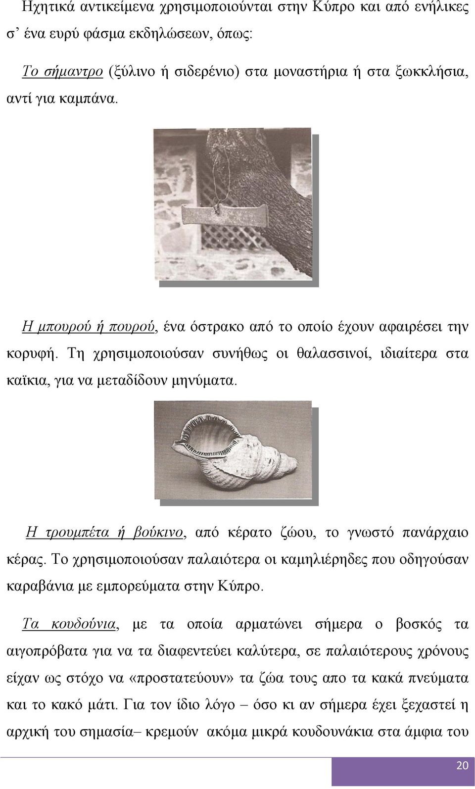 Η τρουμπέτα ή βούκινο, από κέρατο ζώου, το γνωστό πανάρχαιο κέρας. Το χρησιμοποιούσαν παλαιότερα οι καμηλιέρηδες που οδηγούσαν καραβάνια με εμπορεύματα στην Κύπρο.