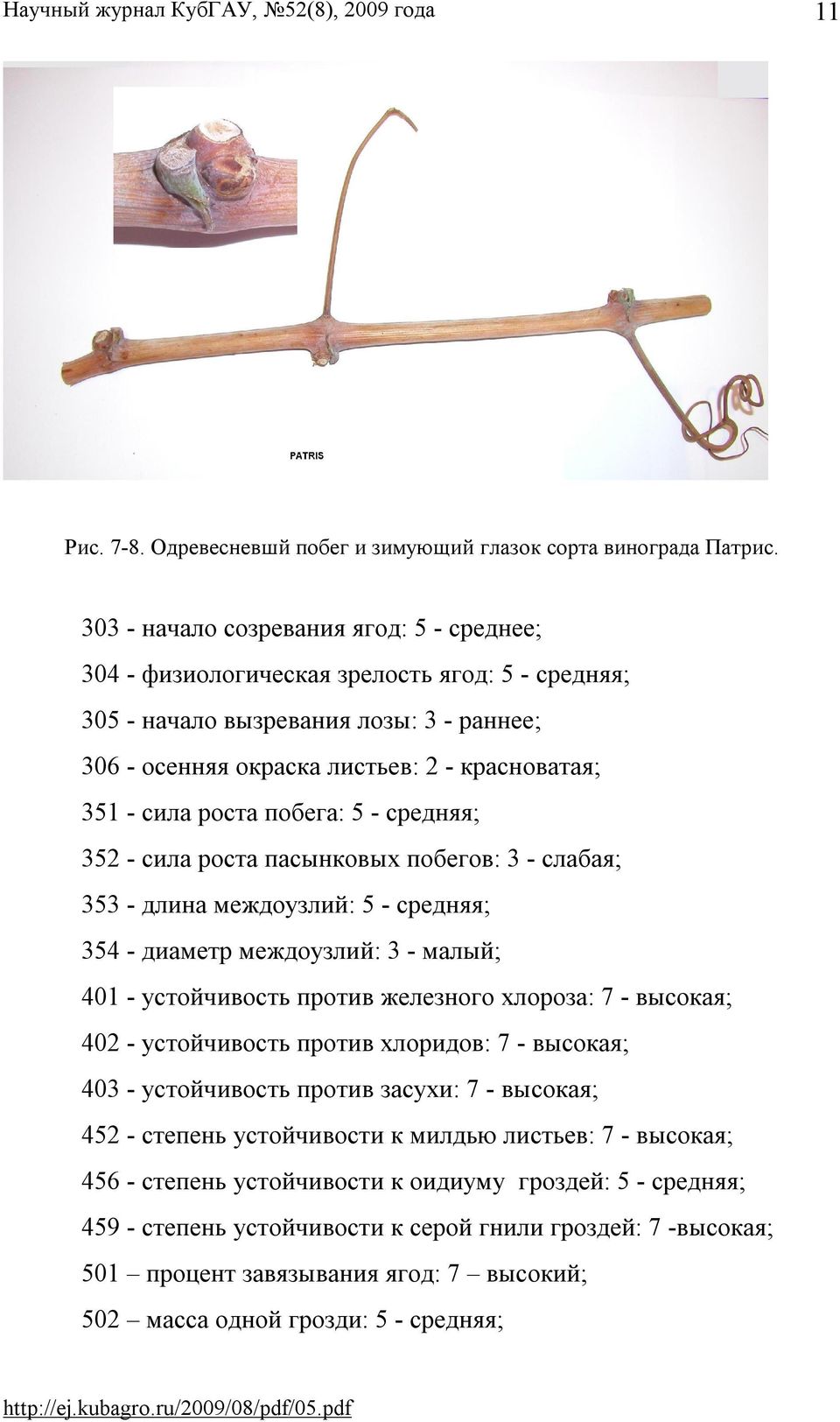 побега: 5 - средняя; 352 - сила роста пасынковых побегов: 3 - слабая; 353 - длина междоузлий: 5 - средняя; 354 - диаметр междоузлий: 3 - малый; 401 - устойчивость против железного хлороза: 7 -