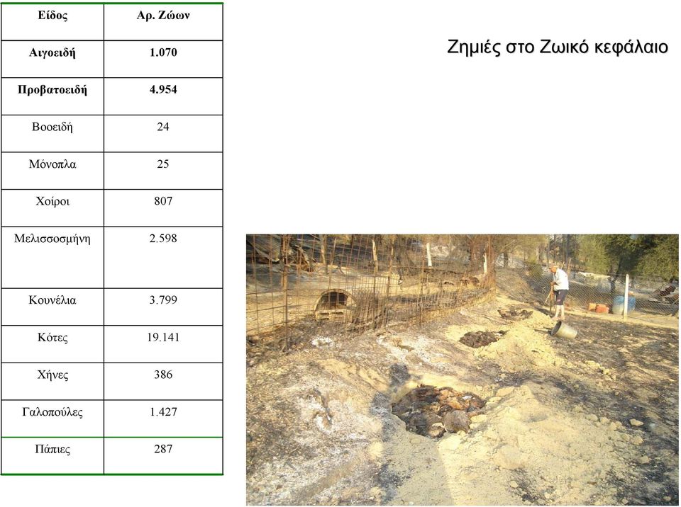 954 Βοοειδή 24 Μόνοπλα 25 Χοίροι 807 Μελισσοσμήνη 2.