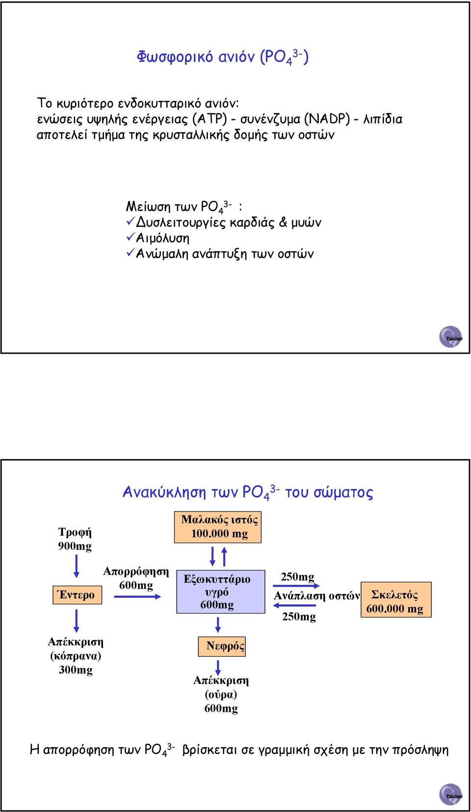 PO 4 3- του σώµατος Τροφή 900mg Μαλακός ιστός 100.