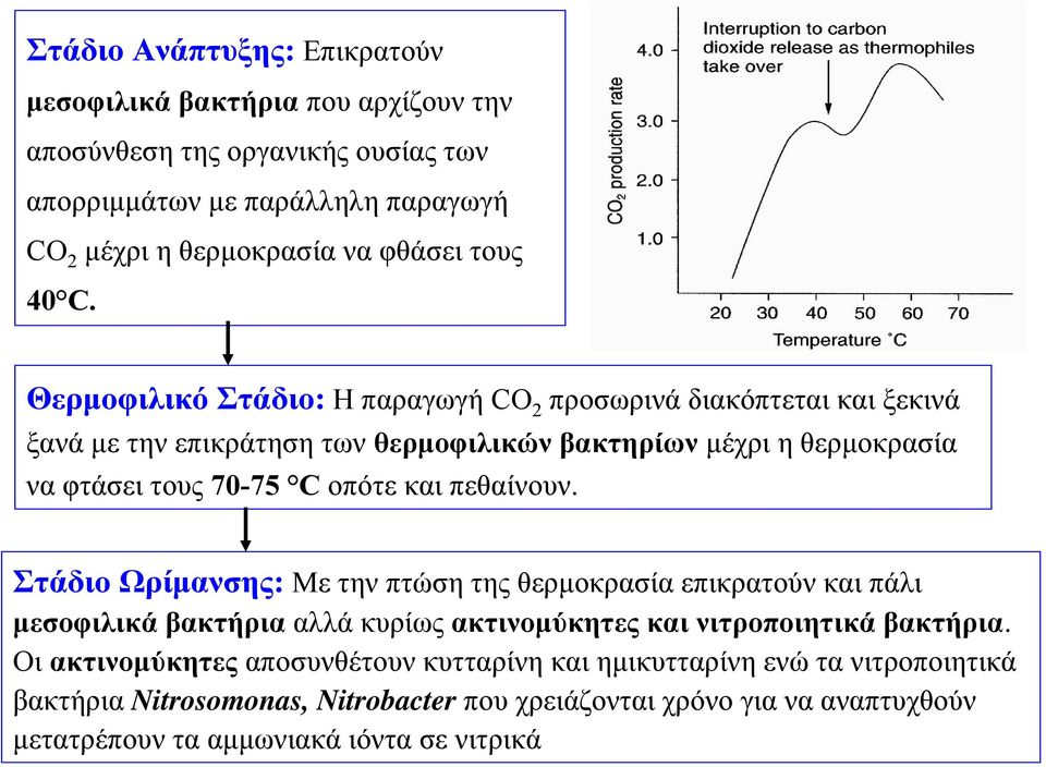 Θερμοφιλικό Στάδιο: H παραγωγή CO 2 προσωρινά διακόπτεται και ξεκινά ξανά με την επικράτηση των θερμοφιλικών βακτηρίων μέχρι η θερμοκρασία να φτάσει τους 70-75 C οπότε και