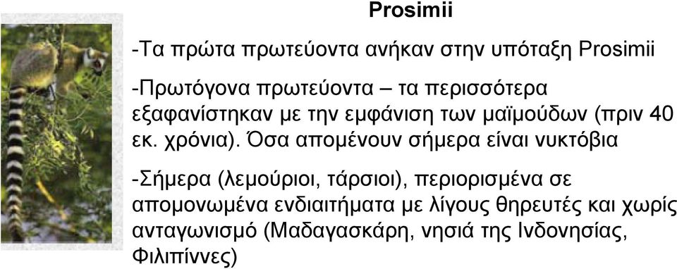 Όσα αποµένουν σήµερα είναι νυκτόβια -Σήµερα (λεµούριοι, τάρσιοι), περιορισµένα σε