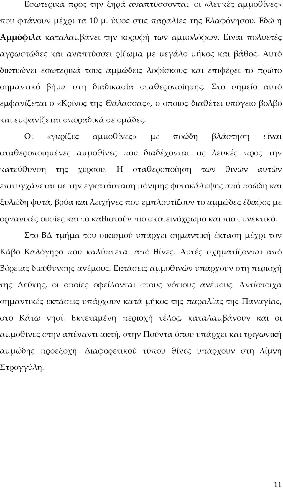 Στο σημείο αυτό εμφανίζεται ο «Κρίνος της Θάλασσας», ο οποίος διαθέτει υπόγειο βολβό και εμφανίζεται σποραδικά σε ομάδες.