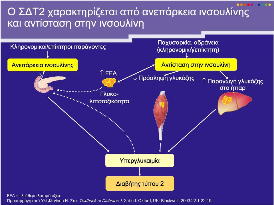 Αντίσταση στην ινσουλίνη Πρόσληψη γλυκόζης Παραγωγή γλυκόζης στο ήπαρ Υπεργλυκαιμία Διαβήτης τύπου 2 FFA =