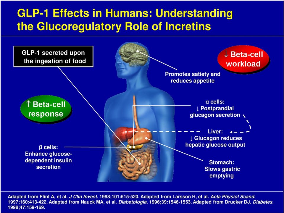 glucose output Stomach: Slows gastric emptying Adapted from Flint A, et al. J Clin Invest. 1998;101:515-520. Adapted from Larsson H, et al.