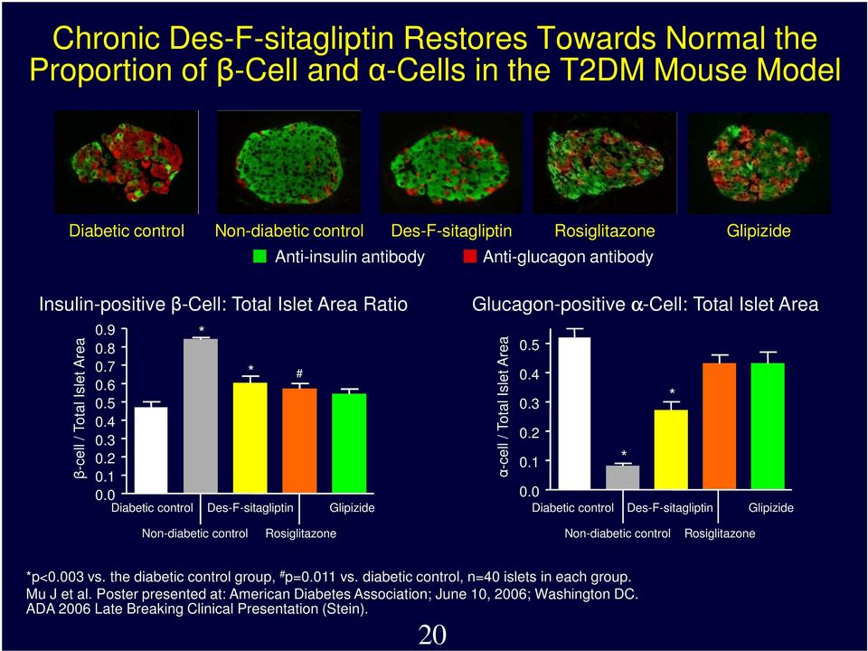 0 Diabetic control * Des-F-sitagliptin # Glipizide Glucagon-positive α-cell: Total Islet Area α-cell / Total Islet Area 0.5 0.4 0.3 0.2 0.1 0.