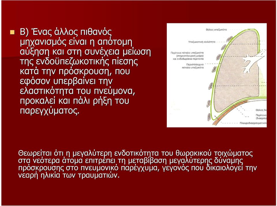 παρεγχύµατος.