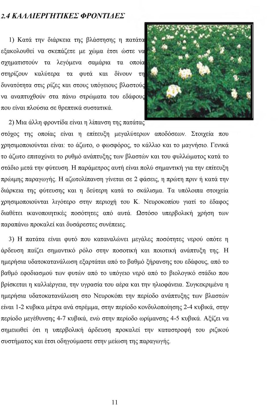 2) Μια άλλη φροντίδα είναι η λίπανση της πατάτας στόχος της οποίας είναι η επίτευξη μεγαλύτερων αποδόσεων. Στοιχεία που χρησιμοποιούνται είναι: το άζωτο, ο φωσφόρος, το κάλλιο και το μαγνήσιο.