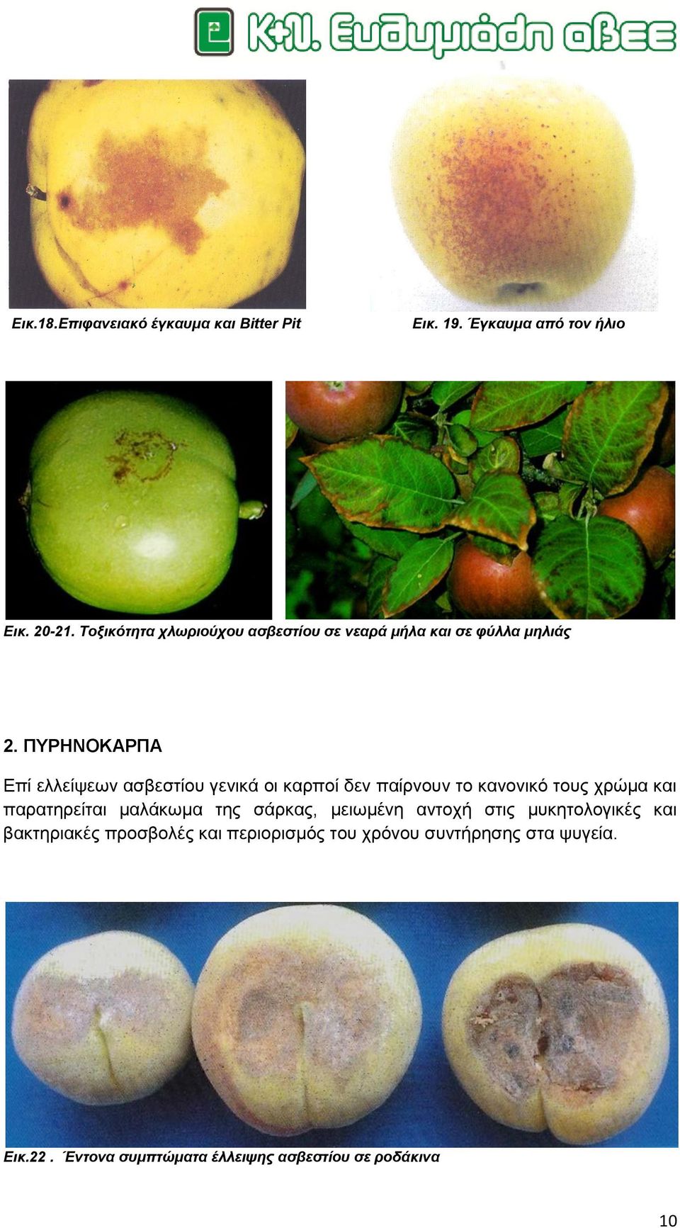 ΠΤΡΗΝΟΚΑΡΠΑ Δπί ειιείςεσλ αζβεζηίνπ γεληθά νη θαξπνί δελ παίξλνπλ ην θαλνληθό ηνπο ρξώκα θαη παξαηεξείηαη