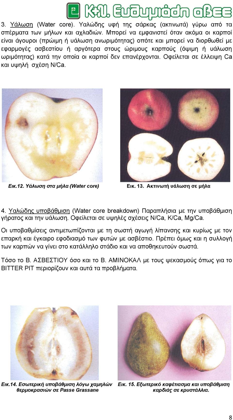 σξηκόηεηαο) θαηά ηελ νπνία νη θαξπνί δελ επαλέξρνληαη. Οθείιεηαη ζε έιιεηςε Ca θαη πςειή ζρέζε N/Ca. Εηθ.12. Υάισζε ζηα κήια (Water core) Δηθ. 13. Αθηηλσηή πάισζε ζε κήια 4.