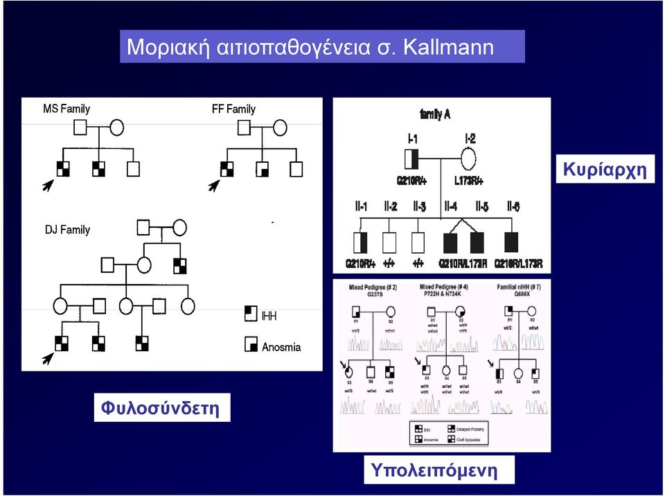 Kallmann Κυρίαρχη