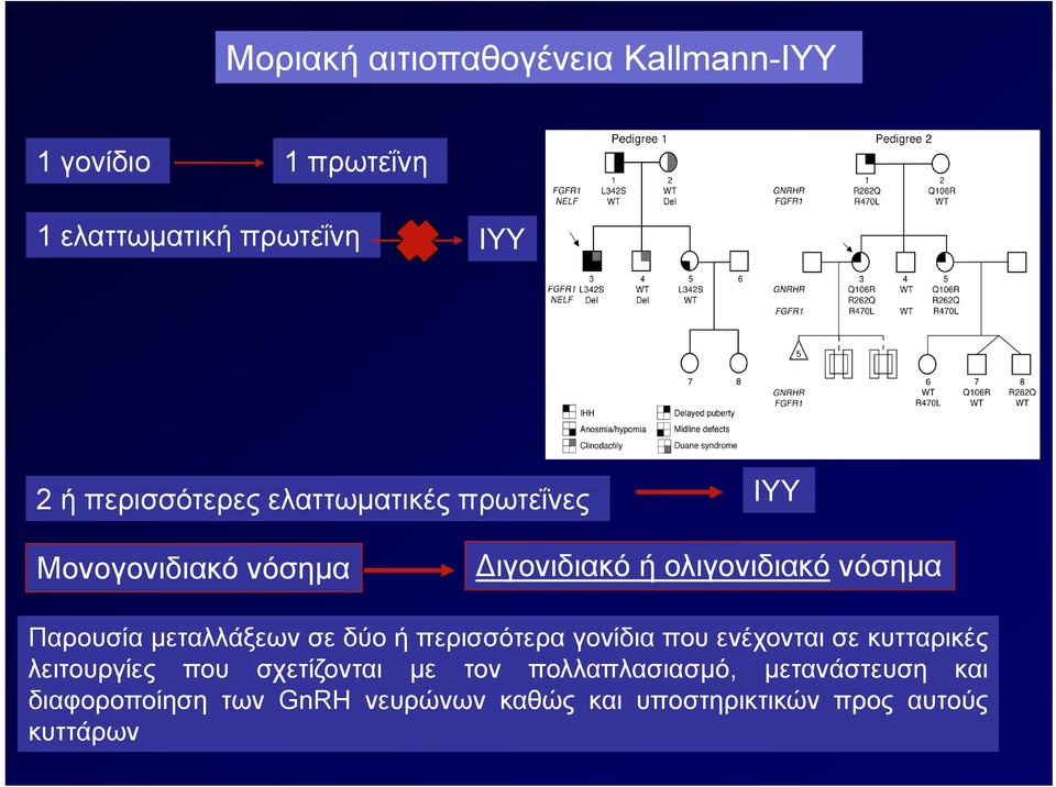 Παρουσία μεταλλάξεων σε δύο ή περισσότερα γονίδια που ενέχονται σε κυτταρικές λειτουργίες που