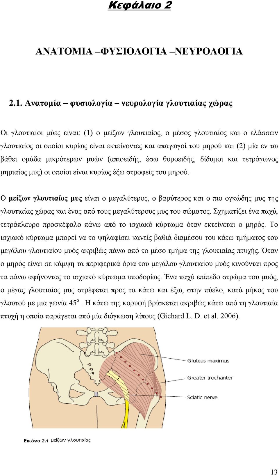 μηρού και (2) μία εν τω βάθει ομάδα μικρότερων μυών (απιοειδής, έσω θυροειδής, δίδυμοι και τετράγωνος μηριαίος μυς) οι οποίοι είναι κυρίως έξω στροφείς του μηρού.