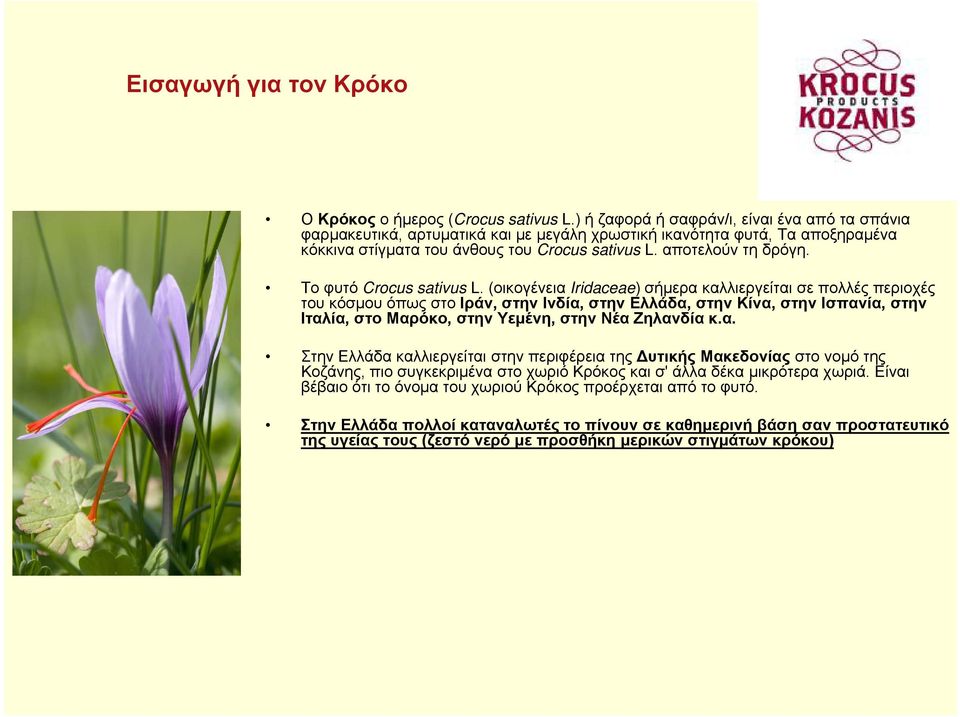 Το φυτό Crocus sativus L.