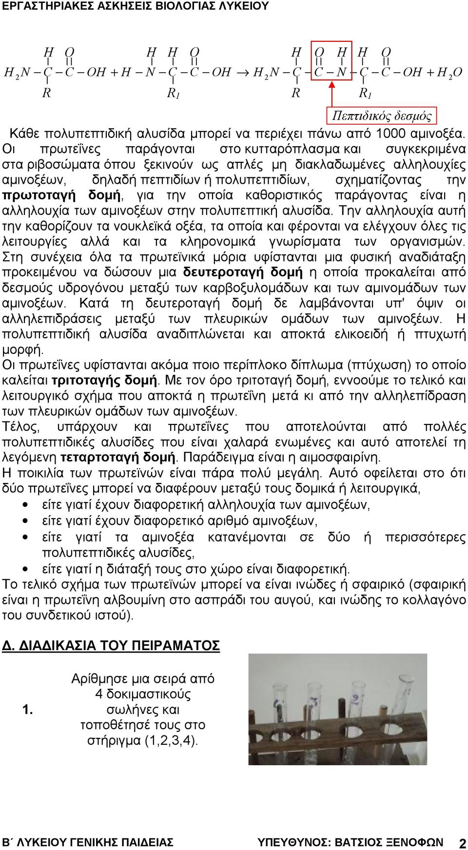 δομή, για την οποία καθοριστικός παράγοντας είναι η αλληλουχία των αμινοξέων στην πολυπεπτική αλυσίδα.
