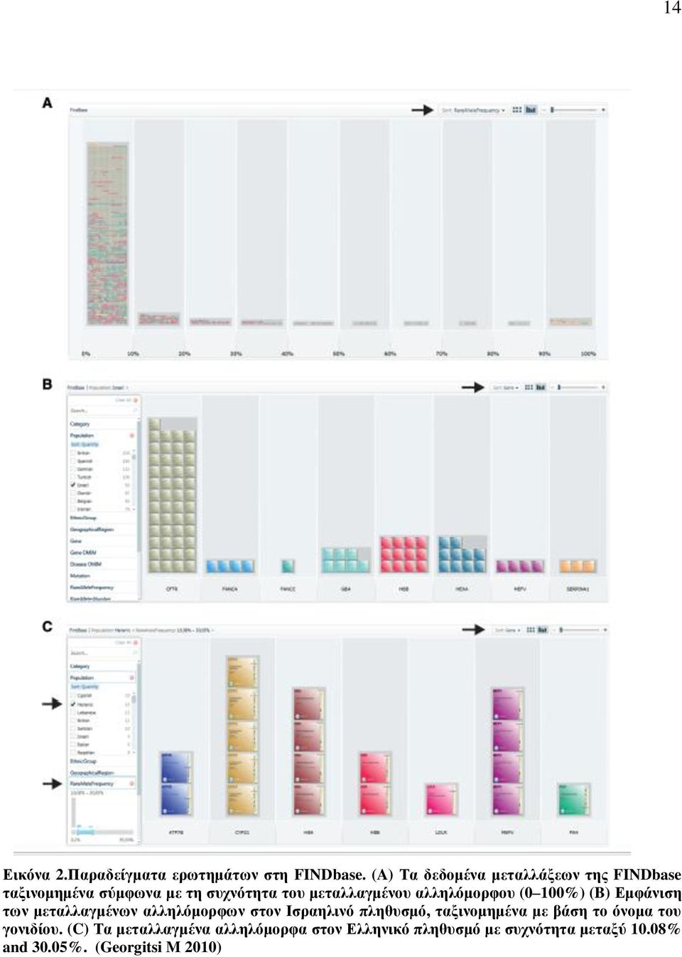 αλληλόμορφου (0 100%) (B) Εμφάνιση των μεταλλαγμένων αλληλόμορφων στον Ισραηλινό πληθυσμό,